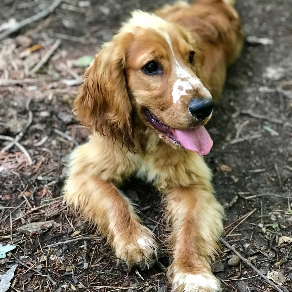 Meet your Posher, Valeriya